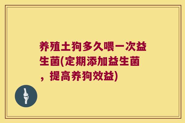 养殖土狗多久喂一次益生菌(定期添加益生菌，提高养狗效益)