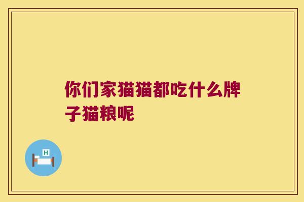 你们家猫猫都吃什么牌子猫粮呢 你们家猫猫都吃什么牌子猫粮呢