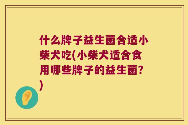 什么牌子益生菌合适小柴犬吃(小柴犬适合食用哪些牌子的益生菌？)