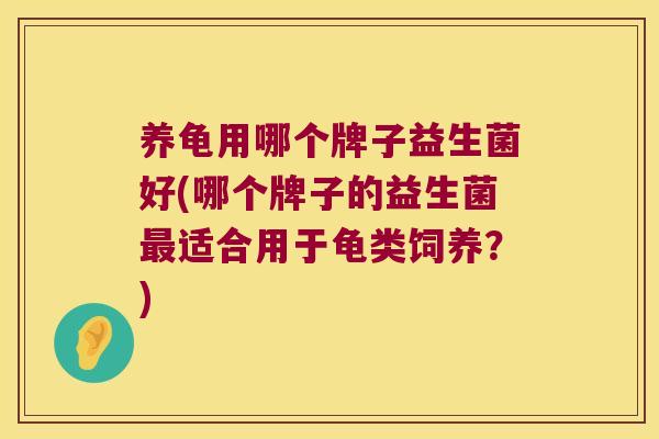 养龟用哪个牌子益生菌好(哪个牌子的益生菌最适合用于龟类饲养？)