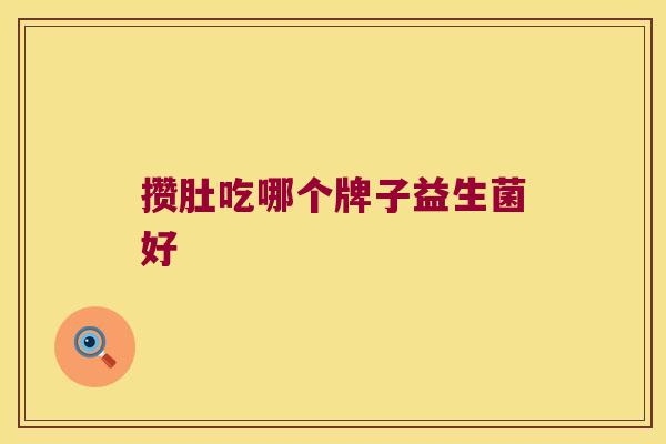 攒肚吃哪个牌子益生菌好