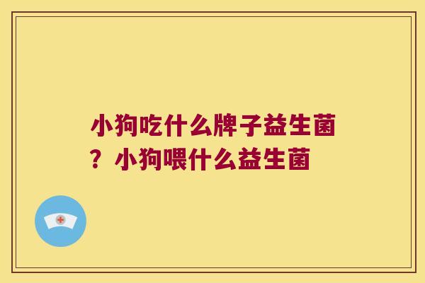 小狗吃什么牌子益生菌？小狗喂什么益生菌