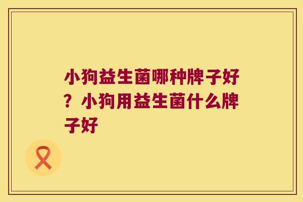 小狗益生菌哪种牌子好？小狗用益生菌什么牌子好