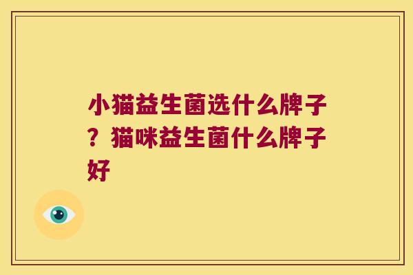 小猫益生菌选什么牌子？猫咪益生菌什么牌子好