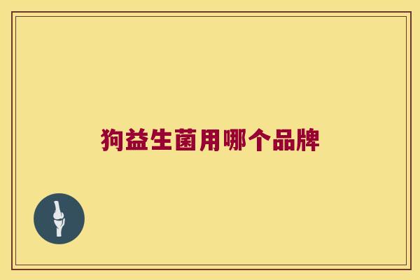 狗益生菌用哪个品牌 狗益生菌用哪个品牌
