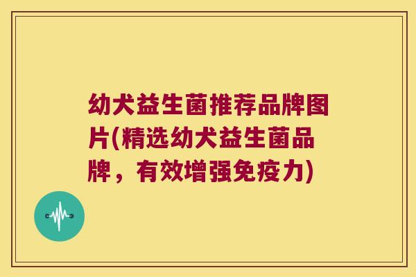 幼犬益生菌推荐品牌图片(精选幼犬益生菌品牌，有效增强免疫力)