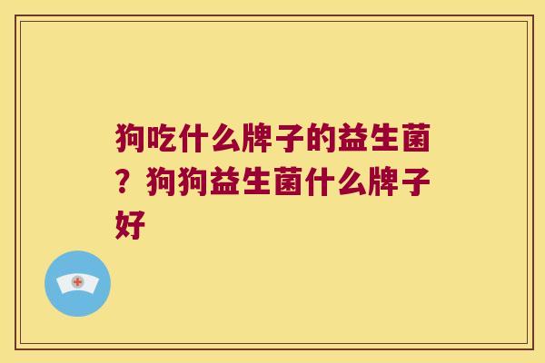 狗吃什么牌子的益生菌？狗狗益生菌什么牌子好