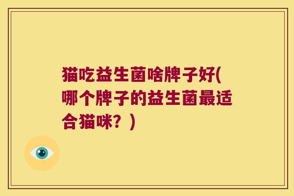 猫吃益生菌啥牌子好(哪个牌子的益生菌最适合猫咪？)