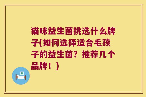 猫咪益生菌挑选什么牌子(如何选择适合毛孩子的益生菌？推荐几个品牌！)