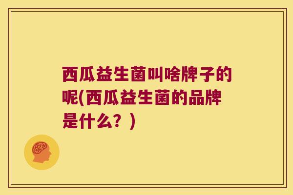 西瓜益生菌叫啥牌子的呢(西瓜益生菌的品牌是什么？)