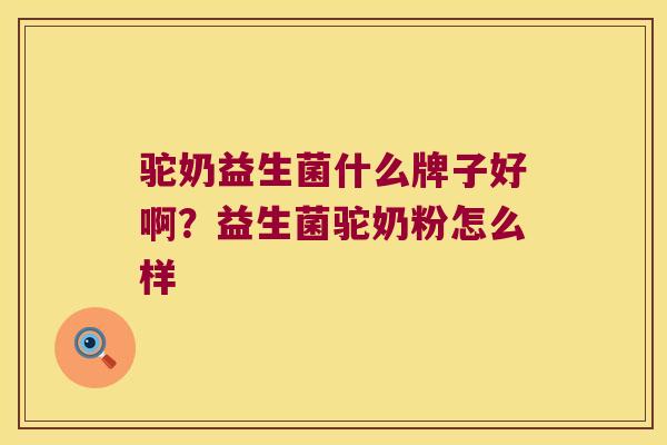 驼奶益生菌什么牌子好啊？益生菌驼奶粉怎么样