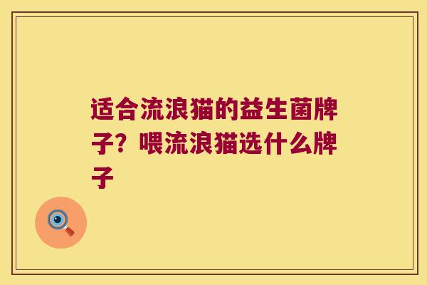适合流浪猫的益生菌牌子？喂流浪猫选什么牌子