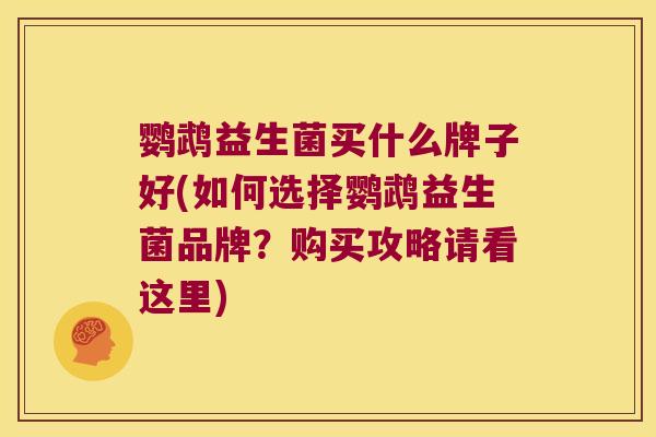 鹦鹉益生菌买什么牌子好(如何选择鹦鹉益生菌品牌？购买攻略请看这里)
