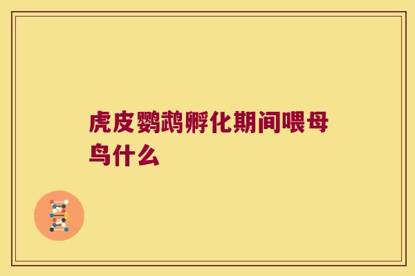 虎皮鹦鹉孵化期间喂母鸟什么