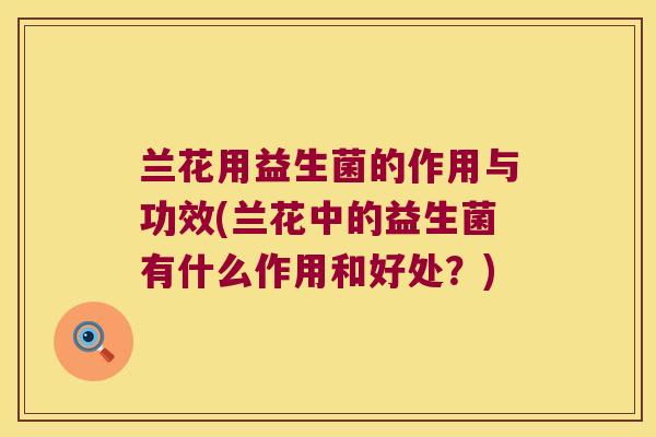 兰花用益生菌的作用与功效(兰花中的益生菌有什么作用和好处？)