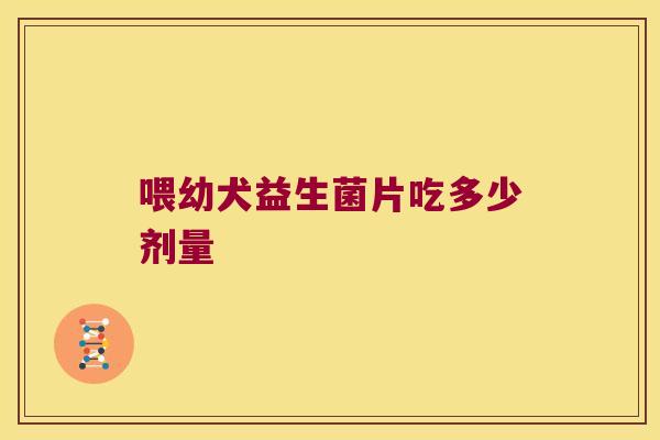 喂幼犬益生菌片吃多少剂量