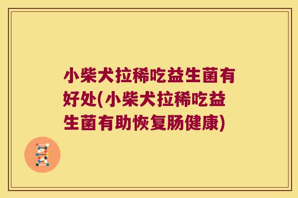 小柴犬拉稀吃益生菌有好处(小柴犬拉稀吃益生菌有助恢复肠健康) 小柴犬拉稀吃益生菌有好处(小柴犬拉稀吃益生菌有助恢复肠健康)