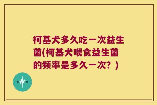 柯基犬多久吃一次益生菌(柯基犬喂食益生菌的频率是多久一次?) 柯基犬多久吃一次益生菌(柯基犬喂食益生菌的频率是多久一次?)