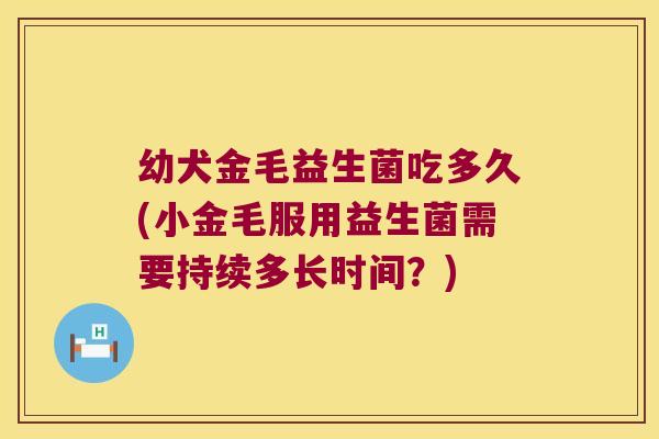 幼犬金毛益生菌吃多久(小金毛服用益生菌需要持续多长时间？)