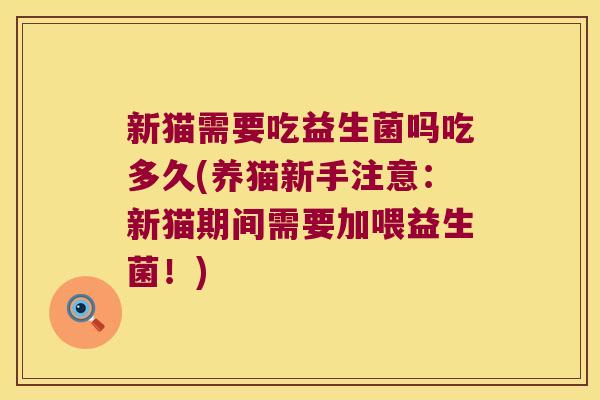 新猫需要吃益生菌吗吃多久(养猫新手注意：新猫期间需要加喂益生菌！)