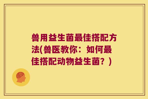 兽用益生菌最佳搭配方法(兽医教你：如何最佳搭配动物益生菌？)