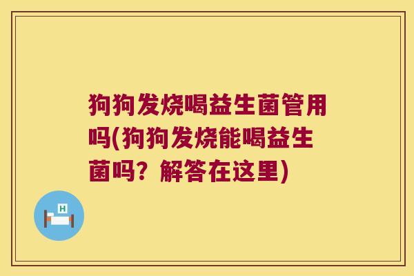 狗狗发烧喝益生菌管用吗(狗狗发烧能喝益生菌吗？解答在这里)