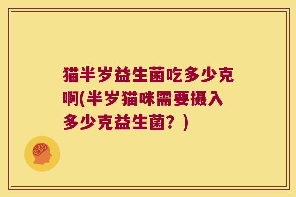 猫半岁益生菌吃多少克啊(半岁猫咪需要摄入多少克益生菌？)