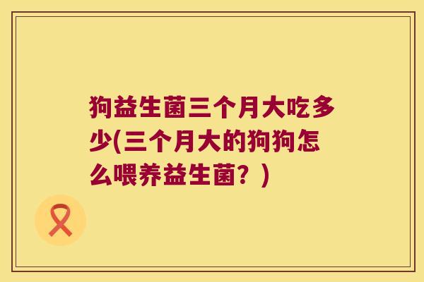 狗益生菌三个月大吃多少(三个月大的狗狗怎么喂养益生菌？)