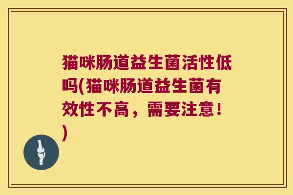 猫咪肠道益生菌活性低吗(猫咪肠道益生菌有效性不高，需要注意！)