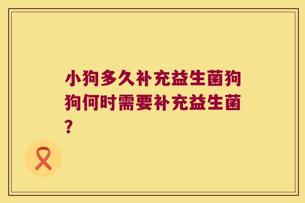 小狗多久补充益生菌狗狗何时需要补充益生菌？