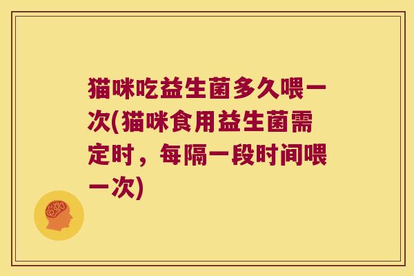 猫咪吃益生菌多久喂一次(猫咪食用益生菌需定时，每隔一段时间喂一次)