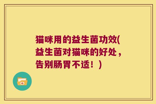 猫咪用的益生菌功效(益生菌对猫咪的好处，告别肠胃不适！)