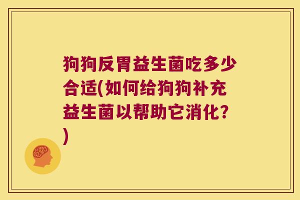 狗狗反胃益生菌吃多少合适(如何给狗狗补充益生菌以帮助它消化？)