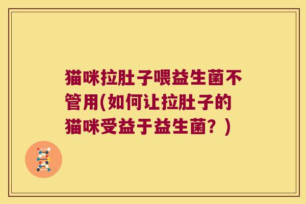 猫咪拉肚子喂益生菌不管用(如何让拉肚子的猫咪受益于益生菌？)
