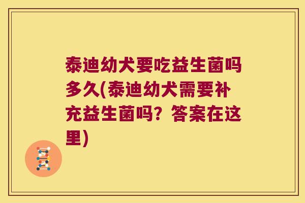 泰迪幼犬要吃益生菌吗多久(泰迪幼犬需要补充益生菌吗？答案在这里)