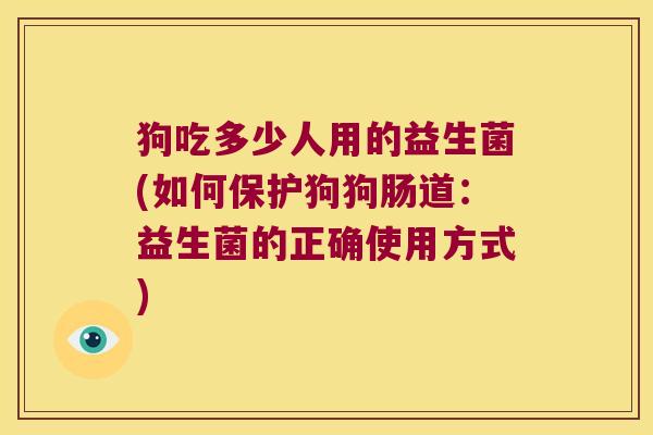 狗吃多少人用的益生菌(如何保护狗狗肠道：益生菌的正确使用方式)