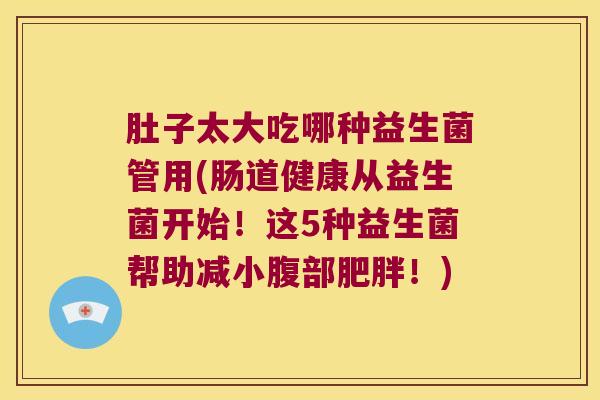 肚子太大吃哪种益生菌管用(肠道健康从益生菌开始！这5种益生菌帮助减小腹部肥胖！)