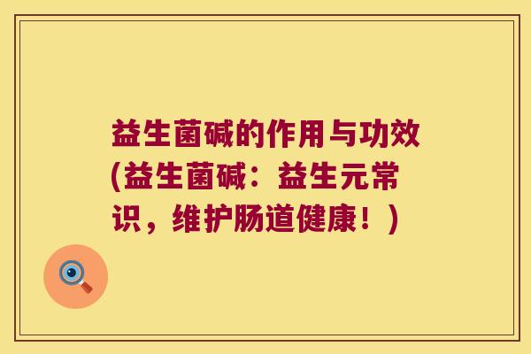 益生菌碱的作用与功效(益生菌碱：益生元常识，维护肠道健康！)