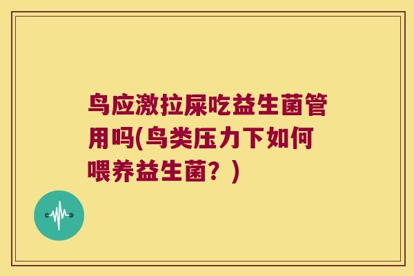 鸟应激拉屎吃益生菌管用吗(鸟类压力下如何喂养益生菌?) 鸟应激拉屎吃益生菌管用吗(鸟类压力下如何喂养益生菌?)