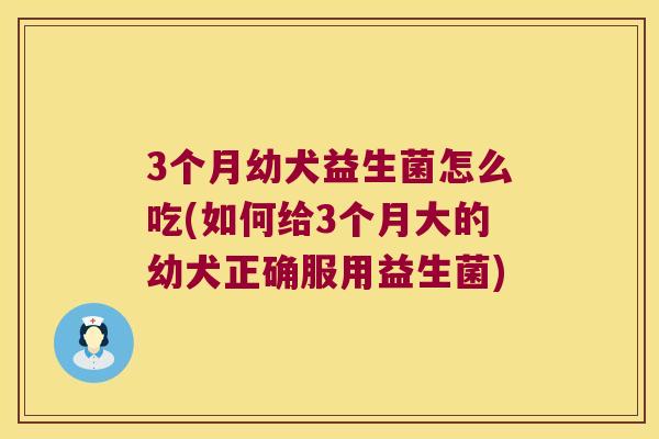 3个月幼犬益生菌怎么吃(如何给3个月大的幼犬正确服用益生菌)