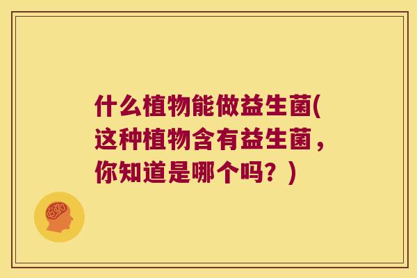 什么植物能做益生菌(这种植物含有益生菌,你知道是哪个吗?) 什么植物能做益生菌(这种植物含有益生菌,你知道是哪个吗?)