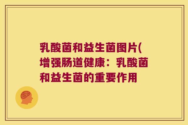 乳酸菌和益生菌图片(增强肠道健康：乳酸菌和益生菌的重要作用
