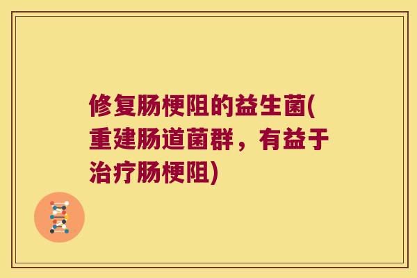 修复肠梗阻的益生菌(重建肠道菌群，有益于治疗肠梗阻)