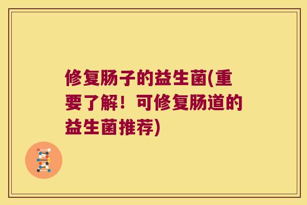 修复肠子的益生菌(重要了解！可修复肠道的益生菌推荐)