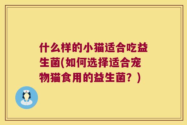什么样的小猫适合吃益生菌(如何选择适合宠物猫食用的益生菌？)