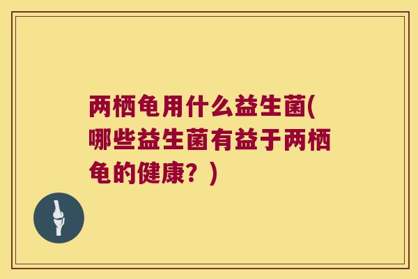 两栖龟用什么益生菌(哪些益生菌有益于两栖龟的健康？)