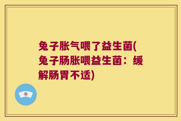 兔子胀气喂了益生菌(兔子肠胀喂益生菌：缓解肠胃不适)