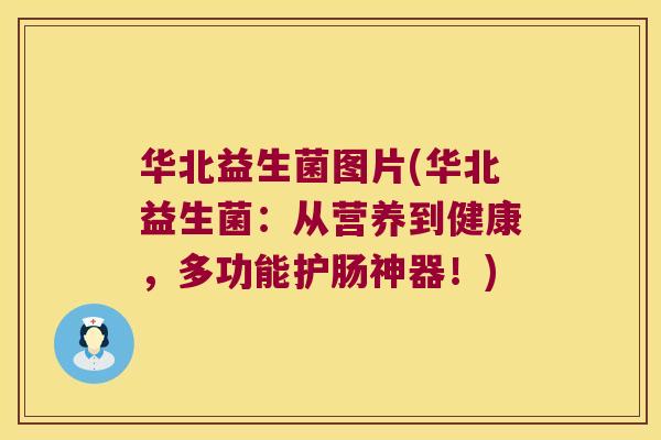 华北益生菌图片(华北益生菌：从营养到健康，多功能护肠神器！)