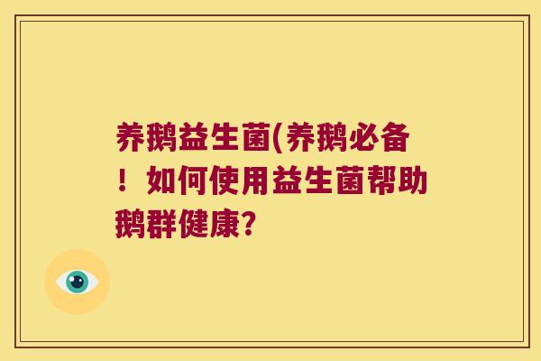 养鹅益生菌(养鹅必备!如何使用益生菌帮助鹅群健康? 养鹅益生菌(养鹅必备!如何使用益生菌帮助鹅群健康?