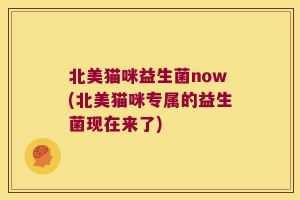 北美猫咪益生菌now(北美猫咪专属的益生菌现在来了)
